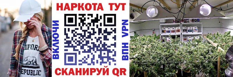 Где продают наркотики Лосино-Петровский Alpha-PVP  МЕФ  NBOMe  COCAIN  Канабис 