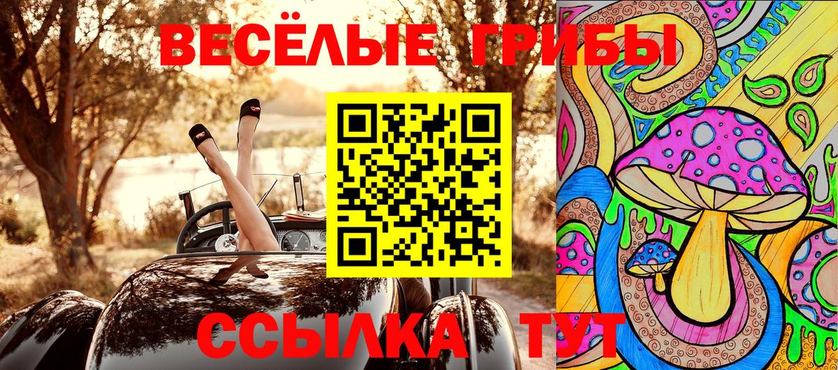 Псилоцибиновые грибы MAGIC MUSHROOMS  Вход с VPN  Лосино-Петровский  Псилоцибиновые грибы GOLDEN TEACHER 