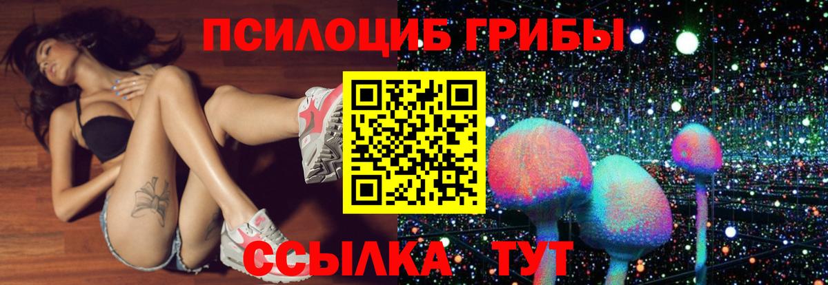 Бошки Шишки Лосино-Петровский