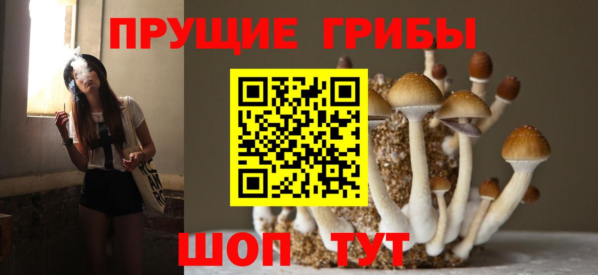 Галлюциногенные грибы Magic Shrooms  закладка  Псилоцибиновые грибы Psilocybe  Лосино-Петровский 